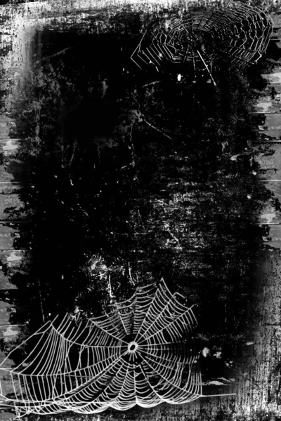 蜘蛛网在黑色的背景下被隔离 Cobweb框架 万圣节派对蜘蛛网的纹理 可怕的万圣节装饰 哥特式风格 复制空间 矢量黑白插图 — 图库矢量图片
