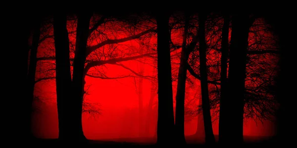 Spooky Forest Red Glow Forest Fire Wildfire Bushfires Burning Trees — Stock Photo, Image