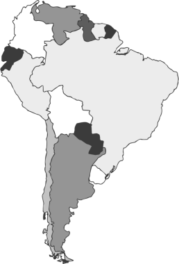 Güney Amerika haritası şeffaf bir arkaplan üzerinde gri tonlarda