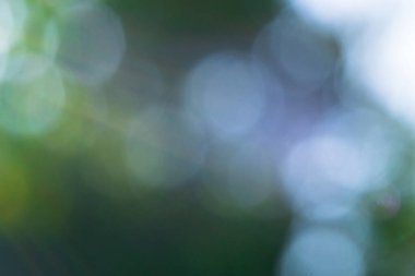 Soyut bulanık fotoğraf ve güneş ışığı. Bulanık yeşil bokeh arkaplanı.
