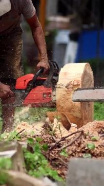 Bir işçi büyük bir ağaç gövdesini kesmek için elektrikli testere kullanır. Talaş uçar, ağır işçilik ve ormancılığı ön plana çıkarır..