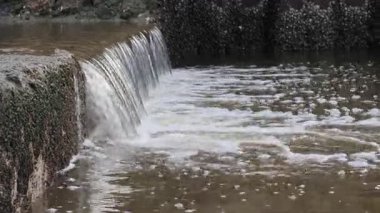 Beton bir çıkıntının üzerinden akan suyun yakın çekimi nehirde köpük ve kabarcıklarla dolu küçük bir şelale oluşturuyor.