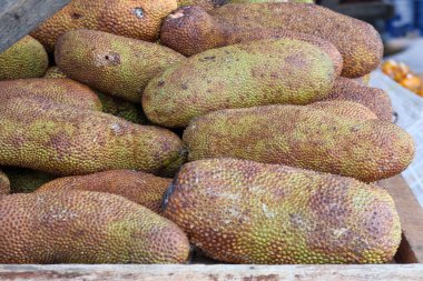 Geleneksel bir pazarda ahşap bir rafta sergilenen taze olgun Cempedak meyveleri (Artocarpus tamsayı), engebeli engebeli derilerini ve dikdörtgen şekillerini gözler önüne sermektedir..