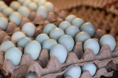 Geleneksel bir pazarda kağıt tepsilerde düzgünce dizilmiş tuzlu mavi ördek yumurtaları, dokuyu ve detayı göstermek için yakın plan çekimleri.