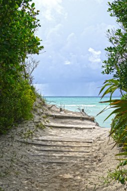 Altın Rock Beach, Bahama Adaları.
