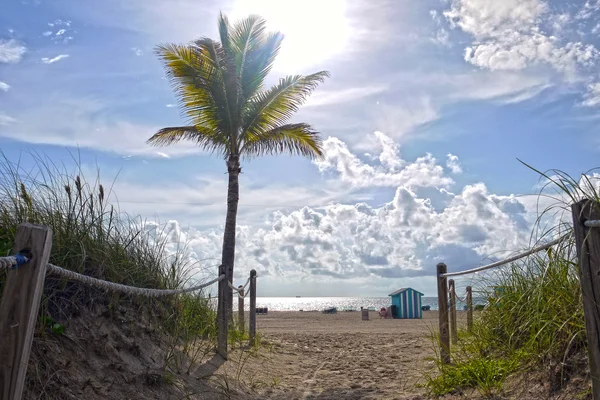 Miami Beach. Amerika Birleşik Devletleri.