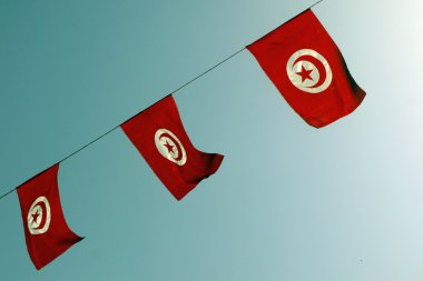 Tunus bayrağı. Tunus.