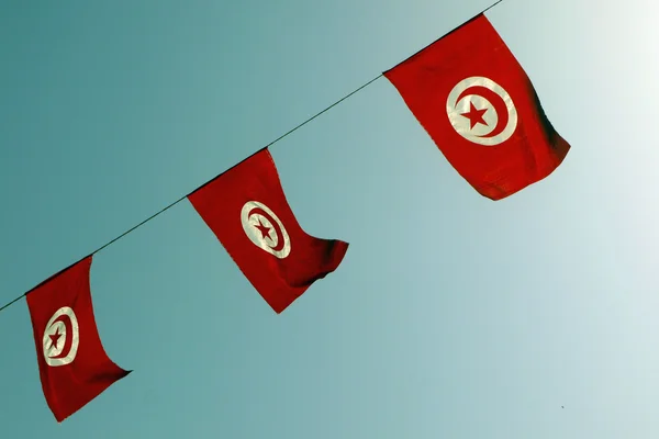 Tunus bayrağı. Tunus.