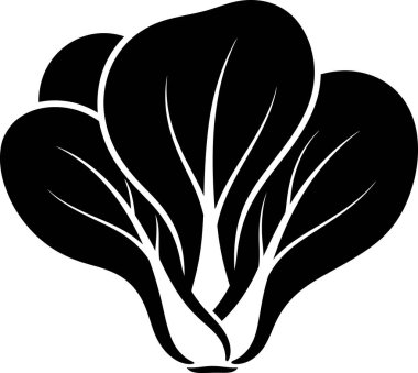 Beyaz arkaplanda izole edilmiş siyah beyaz bok choy illüstrasyonu