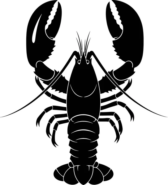 Beyaz arka planda izole edilmiş bir ıstakozun siyah silueti.