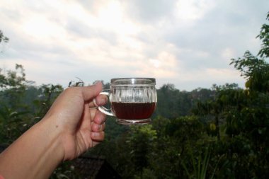 Bir el, bir bardak taze kahveyi yemyeşil Bali plantasyonuna karşı tutuyor. Odak noktası bardağa, bulanık doğal bir arka planı var. Seyahat ve kahve kültürü temaları için ideal.