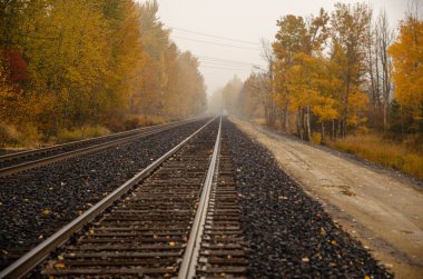 Demiryolu rayları sisle kaplı sonbahar ormanları boyunca uzanıyor. Huzurlu seyahat manzarası, sonbahar sezonunda yolculuğu, macerayı ve dingin doğayı sembolize eder.