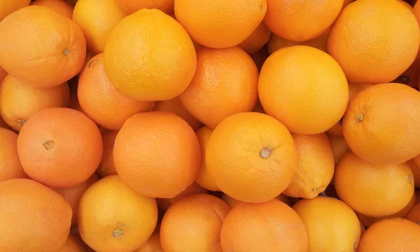 Wiele świeżych surowych pomarańczy — Zdjęcie stockowe