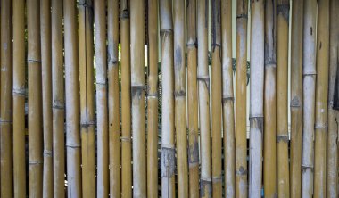 arka plan olarak hizmet veren bambu çubukları