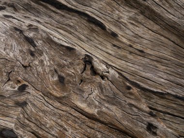 Ahşap arkaplan dokusu yakın. Hasarlı Ahşap yakın çekim.