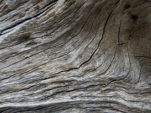 Wood Background Texture Close Damaged Wood Close — Stock Photo, Image