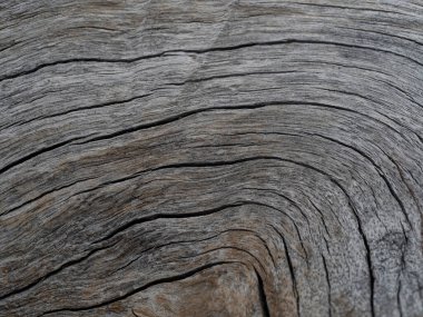 Ahşap arkaplan dokusu yakın. Hasarlı Ahşap yakın çekim.