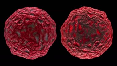 3d siyah arka plan üzerinde izole bakteri virüsü render.