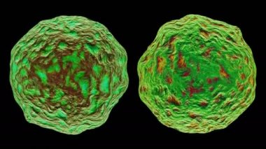 3d siyah arka plan üzerinde izole bakteri virüsü render.