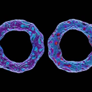 3d siyah arka plan üzerinde izole bakteri virüsü render.