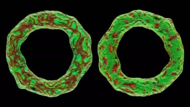 3d siyah arka plan üzerinde izole bakteri virüsü render.