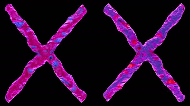 3D vykreslení chromozom X na černém pozadí. — Stock video