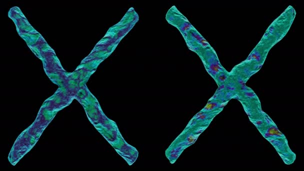 3D απόδοση χρωμοσώματος X σε μαύρο φόντο. — Αρχείο Βίντεο