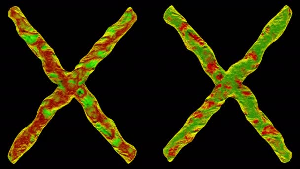 3D візуалізація хромосоми X на чорному тлі . — стокове відео