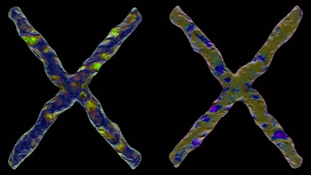 Rendu 3D Chromosome X sur fond noir . — Video