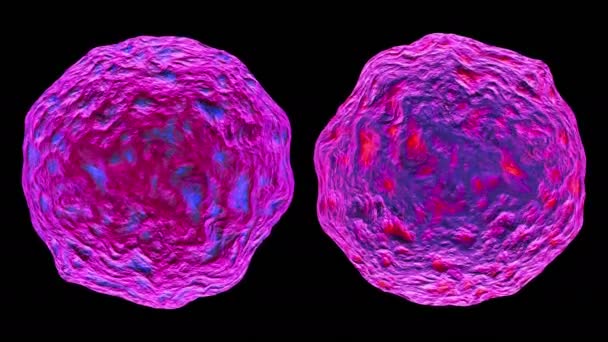 3D göra bakterier virus isolerade på svart bakgrund. — Stockvideo