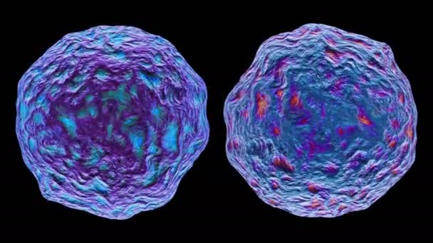 3D απόδοση βακτηρίων ιός απομονωθεί σε μαύρο φόντο. — Αρχείο Βίντεο