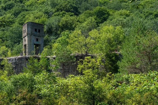 Nedbrutna Ruinerna Massa Och Pappersbruket Bayless Austin Pennsylvania — Stockfoto