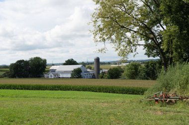 Lancaster County, Pennsylvania kırsalında küçük bir mandıra çiftliği..