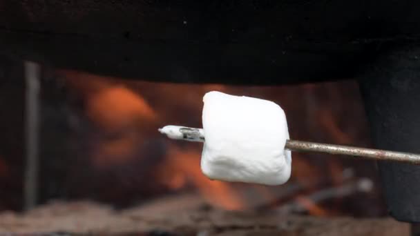 Assar Marshmallow Sobre Chamas Uma Fogueira — Vídeo de Stock