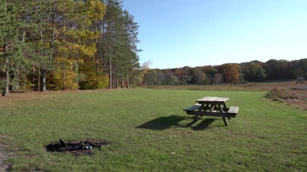 Windy Autumn Day Wide Open Picnic Area Forest Side — Stock Video