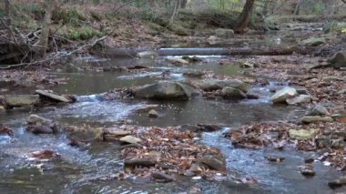 Dağlarda serin bir sonbahar gününde ormanın içinden akan küçük bir dere..