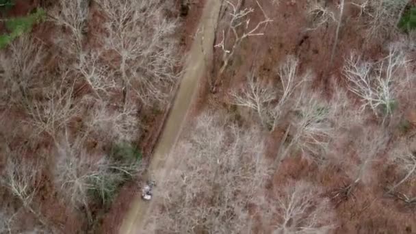 Una Antena Vehículo Camino Tierra Bosque Durante Temporada Invierno — Vídeo de stock