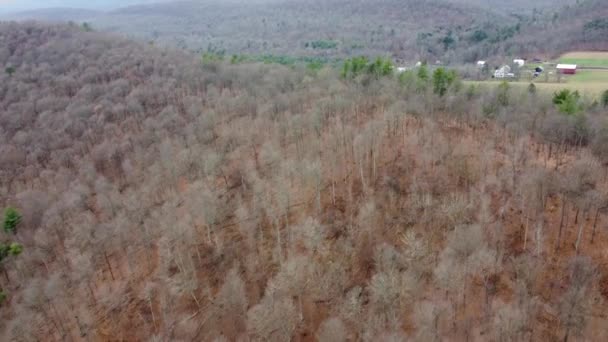 Reizen Toppen Van Bomen Van Het Bos Het Winterseizoen Luchtfoto — Stockvideo