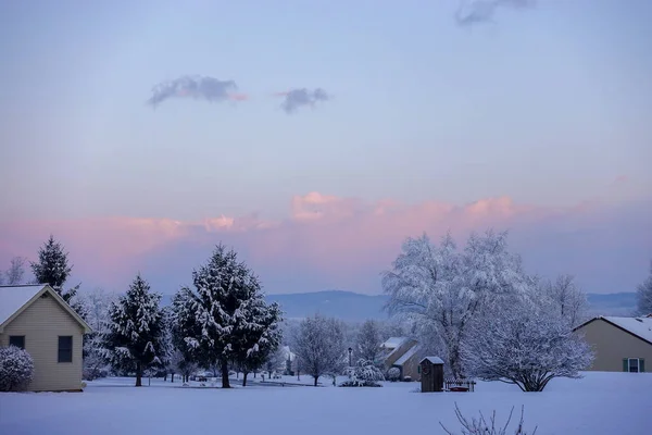 Beauté Paysage Enneigé Des Arbres — Photo