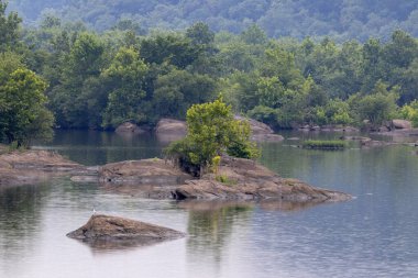 Susquehanna Nehri 'ndeki kayaların güzelliği.