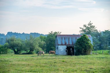 Kırsalda küçük bir ahır ve birkaç at..