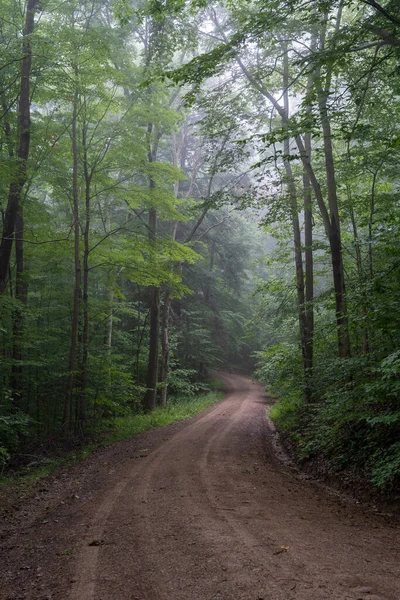 Camino Tierra Serpenteando Través Bosque Nublado — Foto de Stock