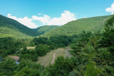 Ağaçlarla kaplı tepeler arasında Vadi 'de bir Dirt Yolu.