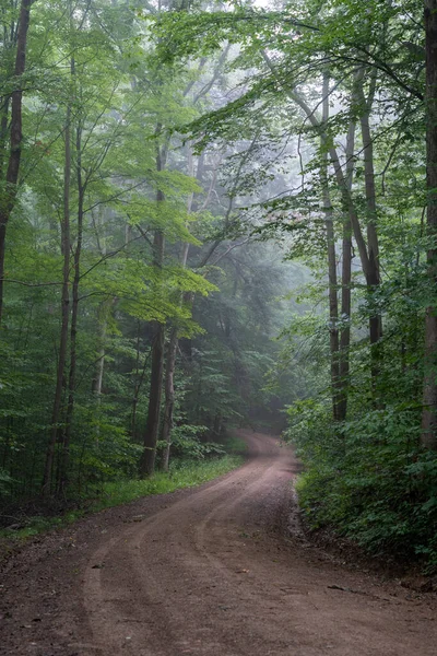 Una Strada Sterrata Snoda Attraverso Una Foresta Nebbiosa — Foto Stock