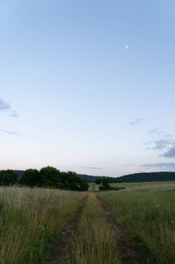 Gökyüzünde ay olan bir otlaktan geçen toprak bir yol..