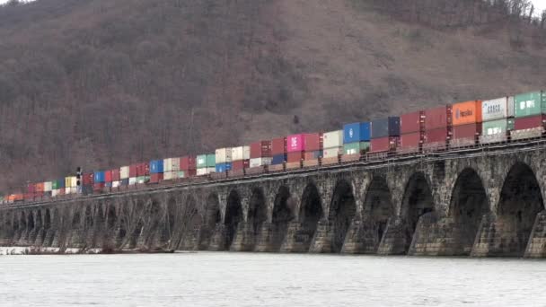 Harrisburg Pennsylvanie Janvier 2021 Train Traversant Pont Pierre Dessus Rivière — Video