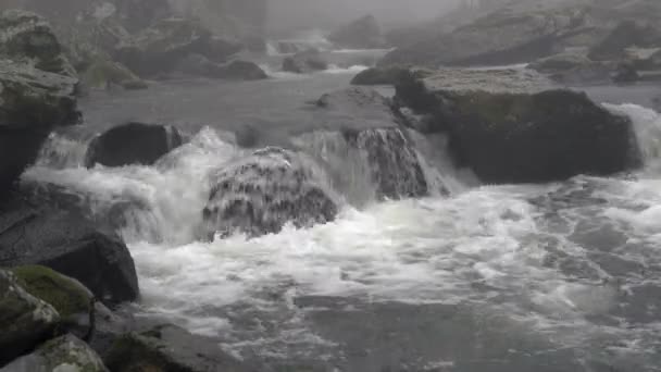 Una Pequeña Cascada Bosque Una Mañana Brumosa Muy Relajante — Vídeo de stock