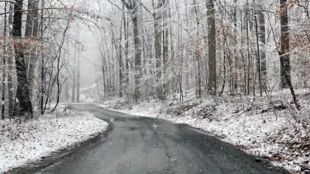 Замедленное Видео Снег Падает Грунтовую Дорогу Лесу Зимний Сезон — стоковое видео