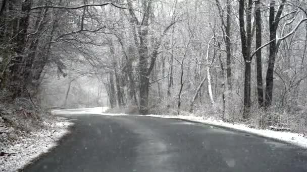 Videoclip Zăpadă Care Cade Drum Murdar Pădure Sezonul Iarnă — Videoclip de stoc