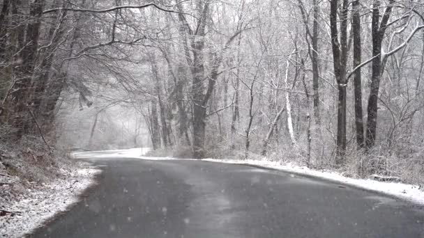 冬の森の未舗装の道に降る雪のビデオ — ストック動画